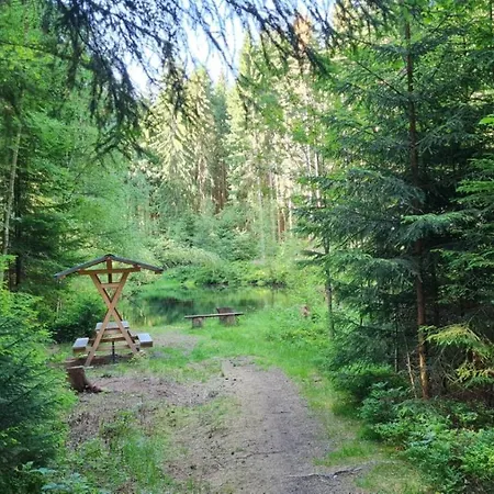 Maison d'hôtes Pension Wernesgruen