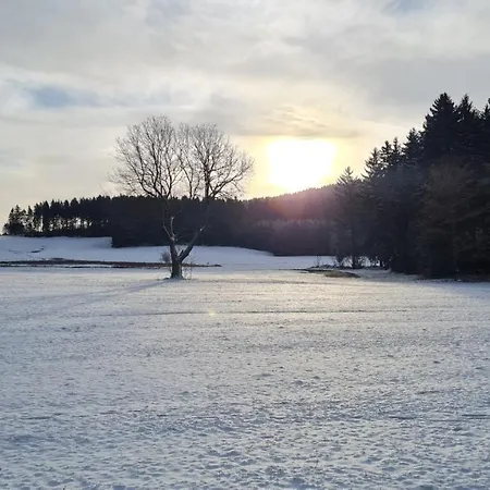 Maison d'hôtes Pension Wernesgruen 3*