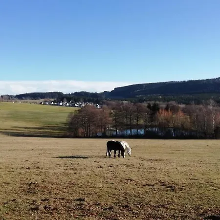 Pension Wernesgruen 3*