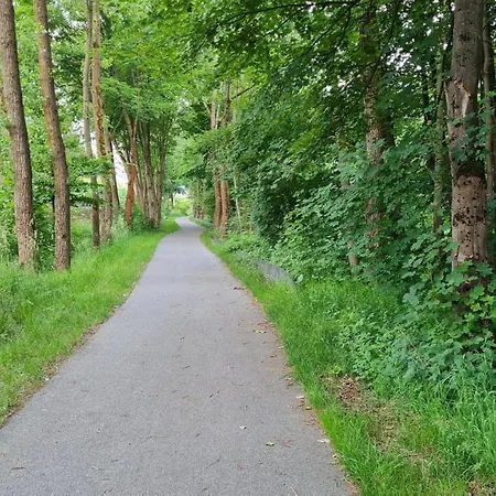 Pension Wernesgruen 3* Wernesgrun