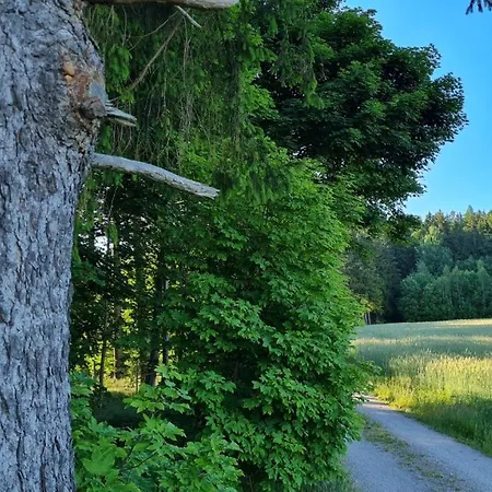 Maison d'hôtes Pension Wernesgruen 3*