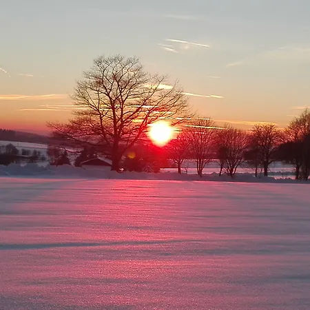 Pension Wernesgruen Maison d'hôtes